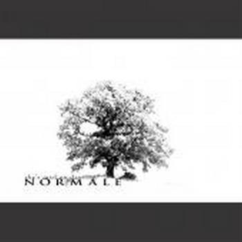 She's Mad On Dancing - Normale 
