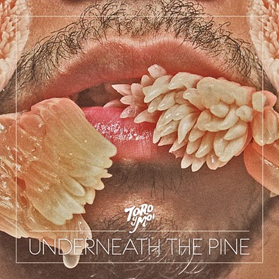 Toro Y Moi-Underneath The Pine