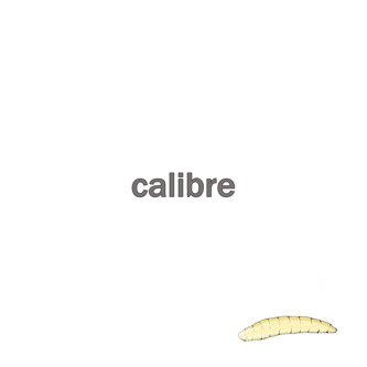 Calibre-Condition