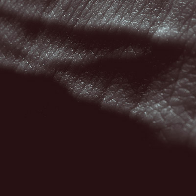 Jk Flesh - Posthuman