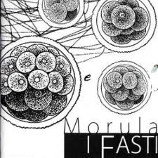 I Fasti-Morula