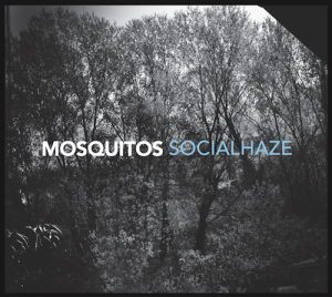 Mosquitos-Socialhaze