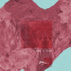 000 – Camel'S Pace