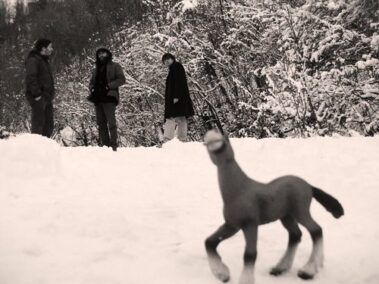 Bancale - Interviste