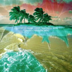 Pizza Reggae 13 - Recensioni Black Music