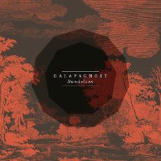 - Galapaghost – Dandelion