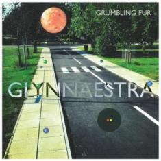 Murcof - Grumbling Fur - Glynnaestra