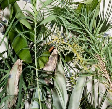 Intervista Low Frequency Club - Interviste