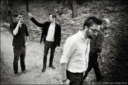 Merce Vivo - Interviste