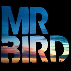 Mr Bird - Bird Bird Bird