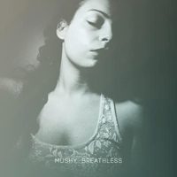 Mushy - Breathless 1 - fanzine