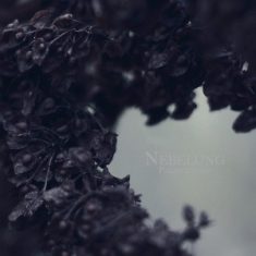 Søren Stargazing - Nebelung – Palingenesis