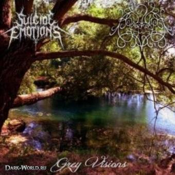 Stone Magnum - Suicide Emotions Agoraphobia – Grey Visions