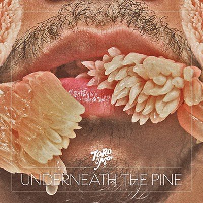 - Toro Y Moi - Underneath The Pine