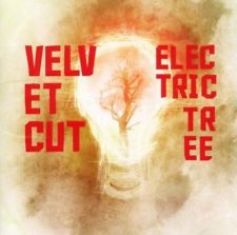 Dark Man Shadow - Velvet Cut – Electric Tree