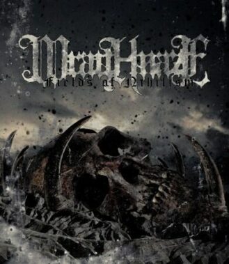Wraithmaze – Fields Of Nihilism - Recensioni Metal