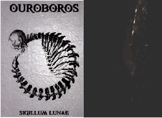 Rooms Delayed - Ouroboros - Sigillum Lunae / Cropcircle - Coldtrip