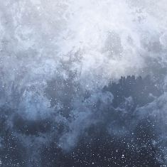 Stewart Walker - Wolves In The Throne Room - Celestite