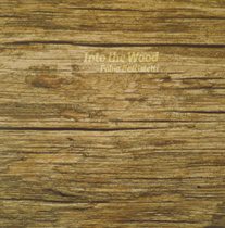 Fabio Battistetti - Into The Wood 1 - fanzine