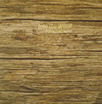 Summit - Fabio Battistetti - Into The Wood