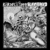 Offal / Zombie Cookbook - Birdflesh / Slavebreed - Nekroacropolis