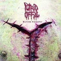 Offal / Zombie Cookbook - Putrid Offal - Mature Necropsy