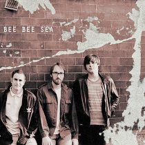 The Sonics - Bee Bee Sea - Bee Bee Sea