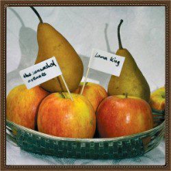 The Sunwashed Avenues – Lama King - Recensioni Rock