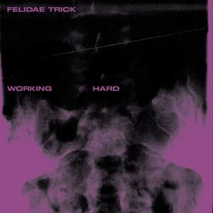Felidae Trick - Working Hard 1 - fanzine