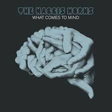 Lara Groove - The Haggis Horns – What Comes To Mind