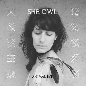 Boy &Amp; Bear - She Owl - Animal Eye