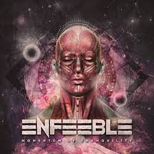 Name Means Nothing - Enfeeble - Momentum Of Tranquillity