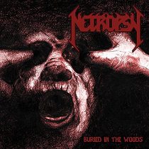 Haunted By Destiny - Necropsy - Buried In The Woods