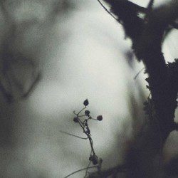 Arche - Undercurrents - Recensioni Metal