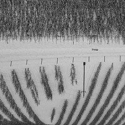 Snøgg - Snøgg - Recensioni Metal