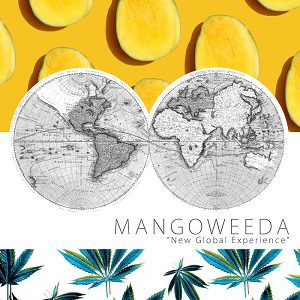 Marco Petroni - Mangoweeda - New Global Experience