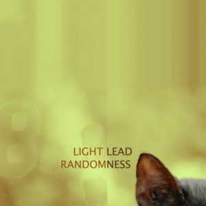 Le Pinne - Light Lead - Randomness Ep