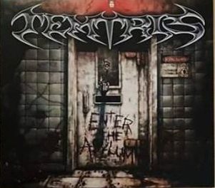 Temtris - Enter The Asylum 10 - fanzine