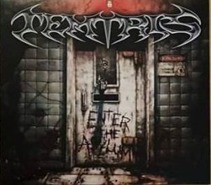 Temtris - Enter The Asylum
