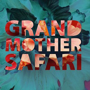 Mesh - Grandmother Safari - Grandmother Safari