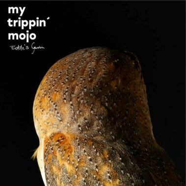 My Trippin Mojo - Recensioni Black Music