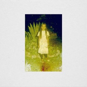 The Great Saunites - The Ivy - rock