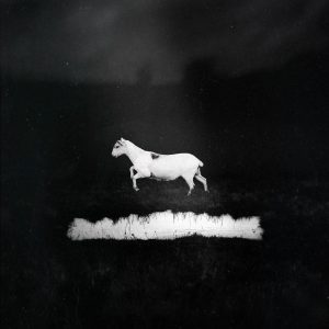 Les Discrets - Prédateurs - rock