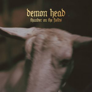 Demon Head - Thunder On The Field - rock