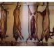 Museo Dell'Altro E Dell'Altrove Di Metropoliz_Citta' Meticcia