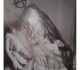 Museo Dell'Altro E Dell'Altrove Di Metropoliz_Citta' Meticcia