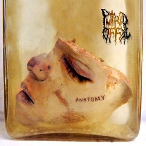 Putrid Offal - Anatomy - death