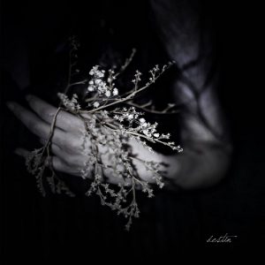 Clouds - Destin - metal