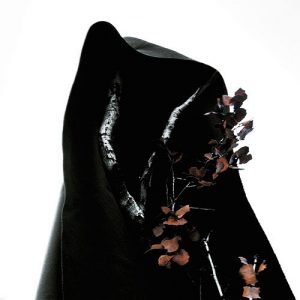 Process Of Guilt - Black Earth - metal