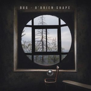 Bug - O'Brien Shape - rock